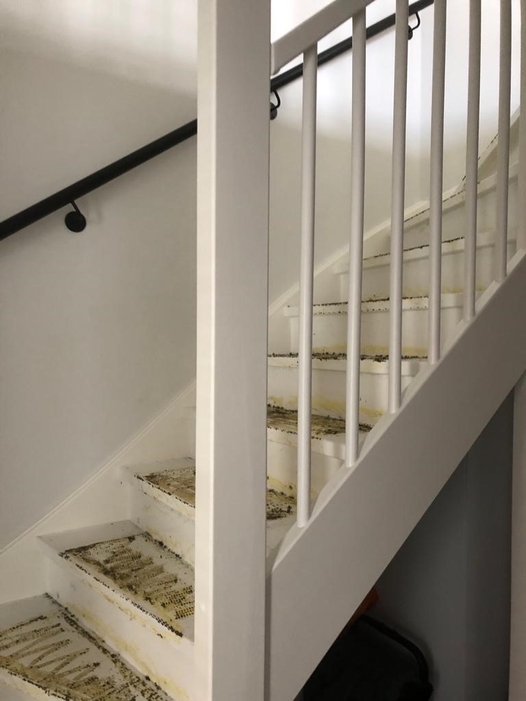 Eiken overzettreden witte stootborden zwart antislip zwart stalen leuning.jpg